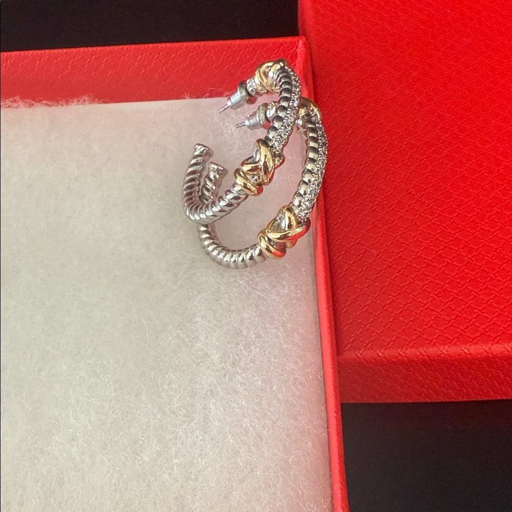 Elegant Silver and Gold Hoop Earrings